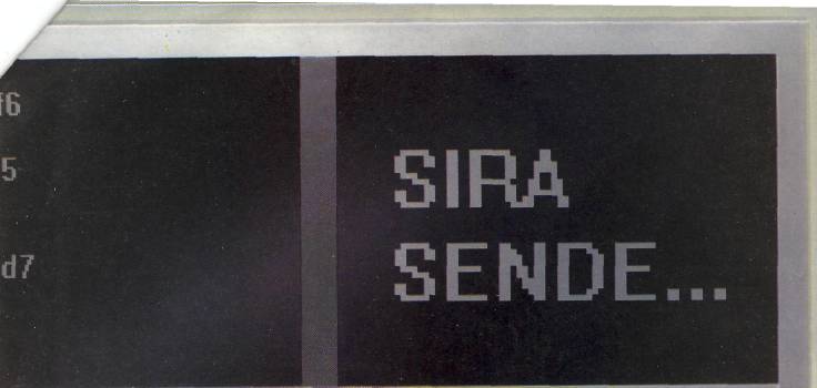 tb-5.jpg