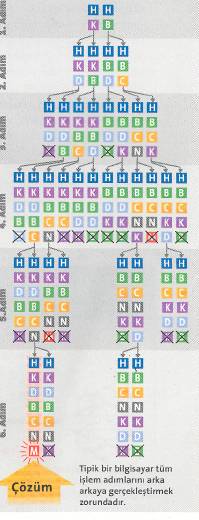 h-12.jpg