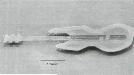 aa-2.jpg